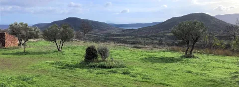 Vue panoramique sur le lac du Salagou depuis les environs des gîtes